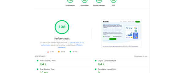Capture d’écran montrant un score de 100 sur 100 sur Google PageSpeed Insights, indiquant des performances web optimales.